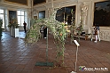 VBS_0090 - Corollaria Flower Exhibition 2022